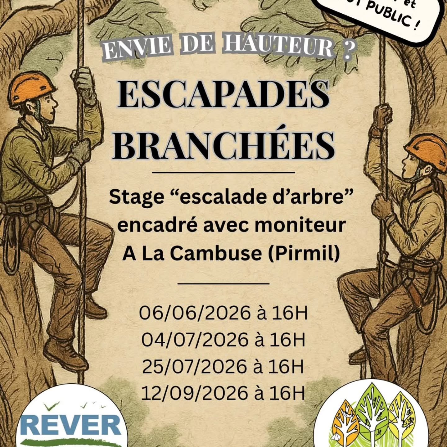 Stage de grimpe d'arbre GRATUIT