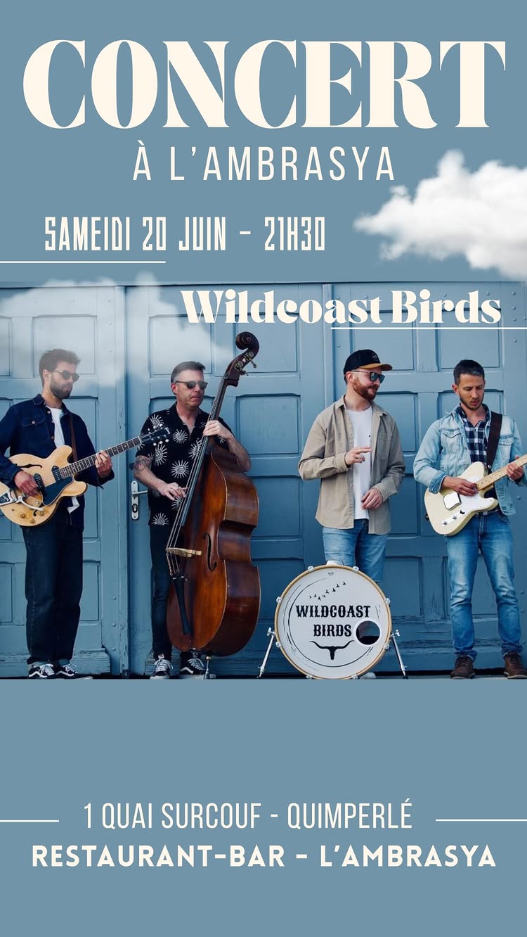 Wildcoast Birds